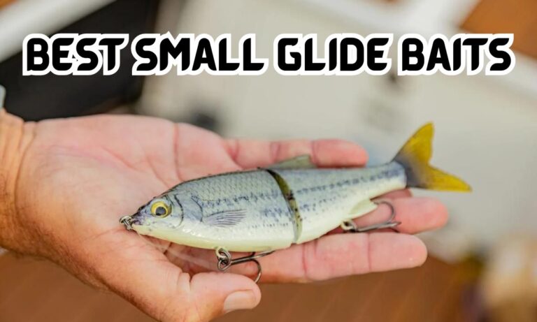 best small glide baits for bass fishing