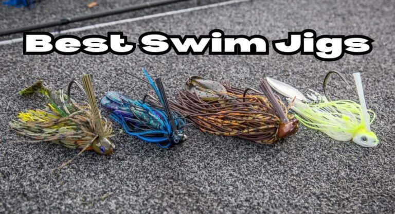 best swim jigs