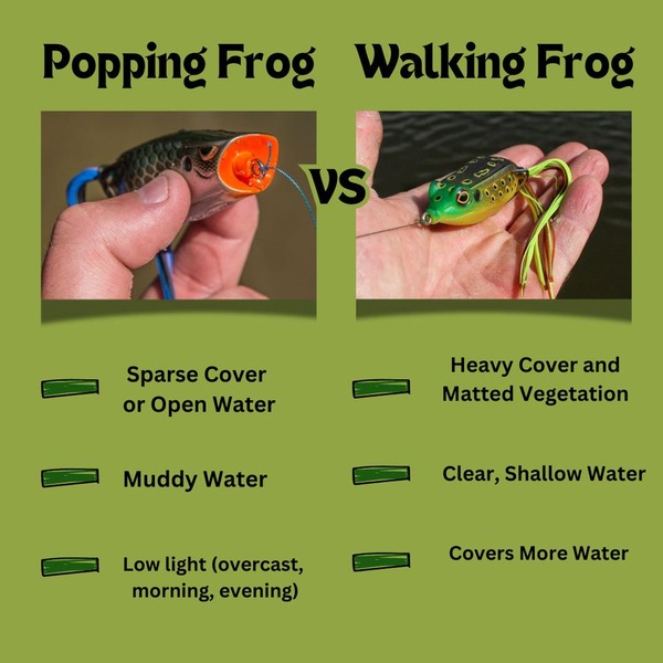 popping frog vs walking frog