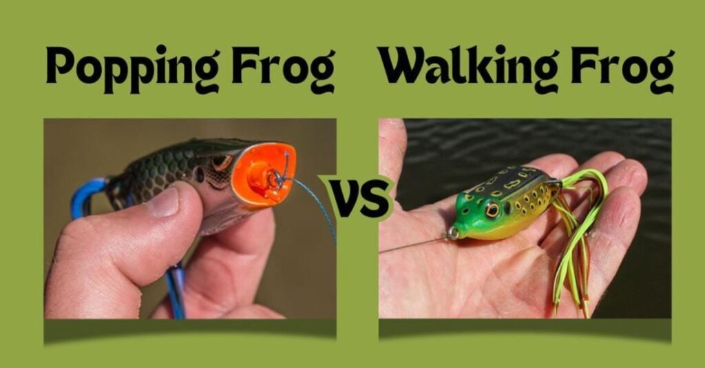 popping frogs vs walking frogs