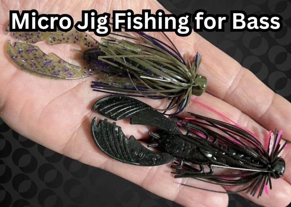 Micro Jig Fishing for Bass – Barb Catch Fishing