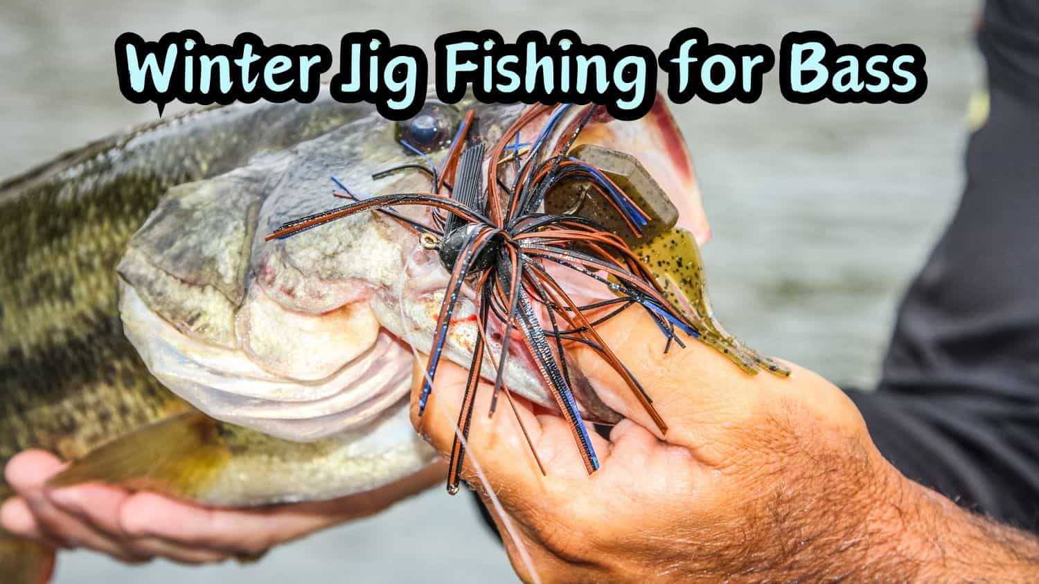 winter jig fishing for bass