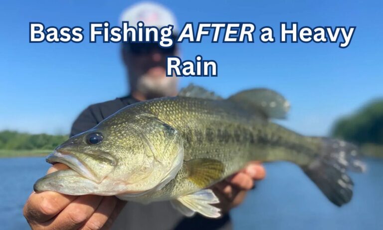 Bass Fishing After a Rain Storm