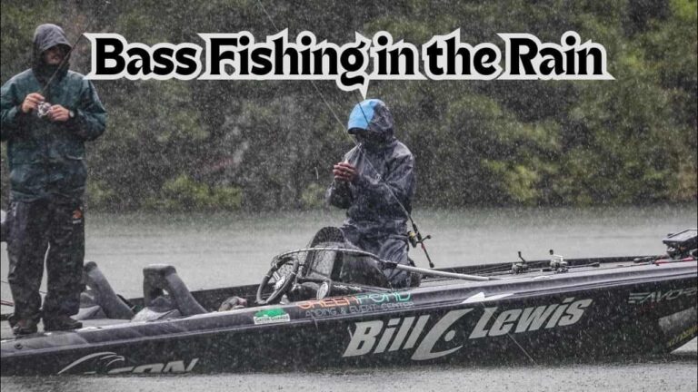 Bass Fishing in the Rain