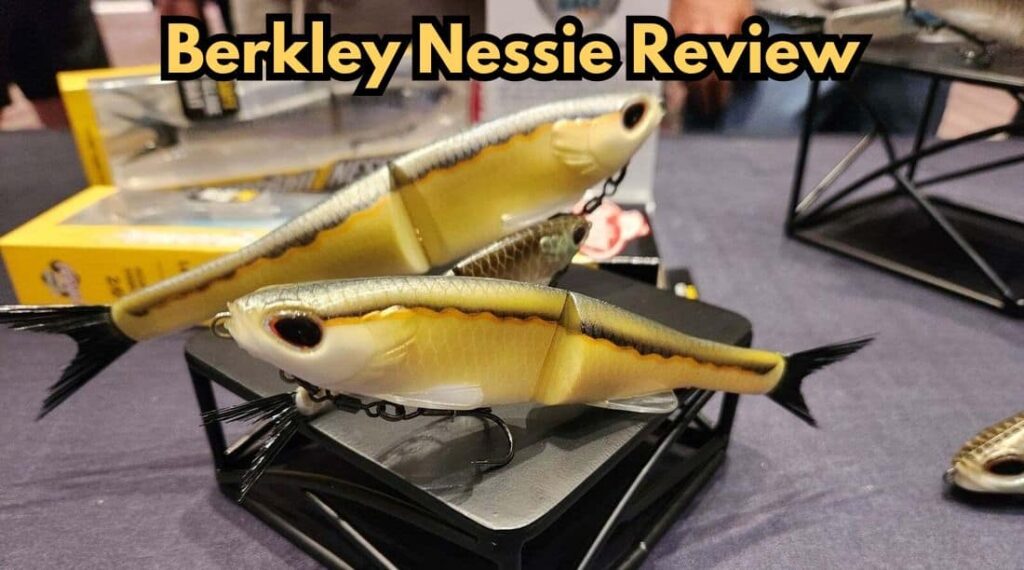 berkley nessie review