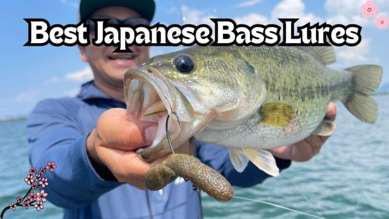 9 Best Japanese Bass Lures You Need to Try