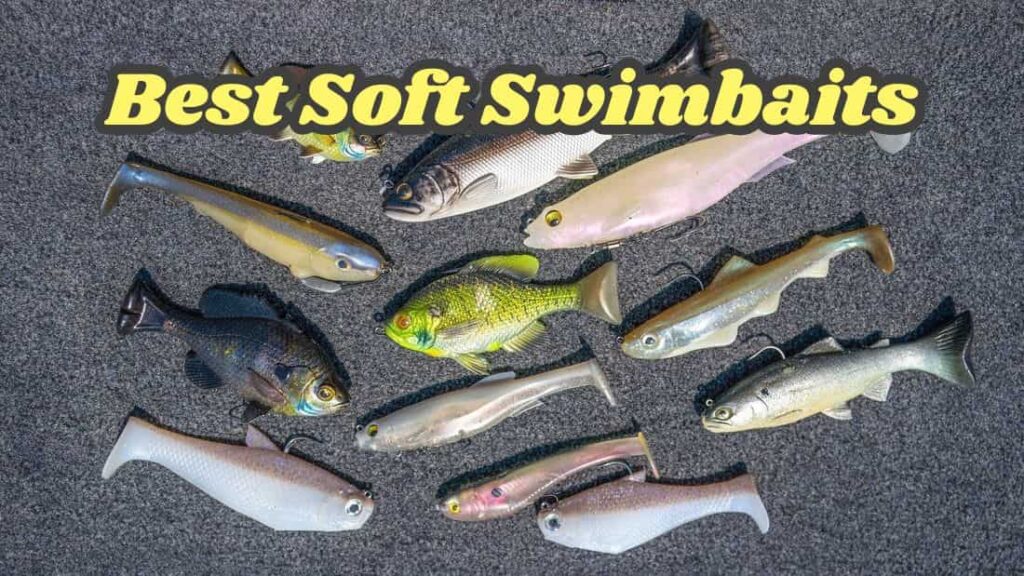 7 Best Soft Swimbaits for 2025 – Barb Catch Fishing