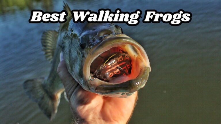 best walking frogs