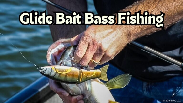 Glide Bait Bass Fishing