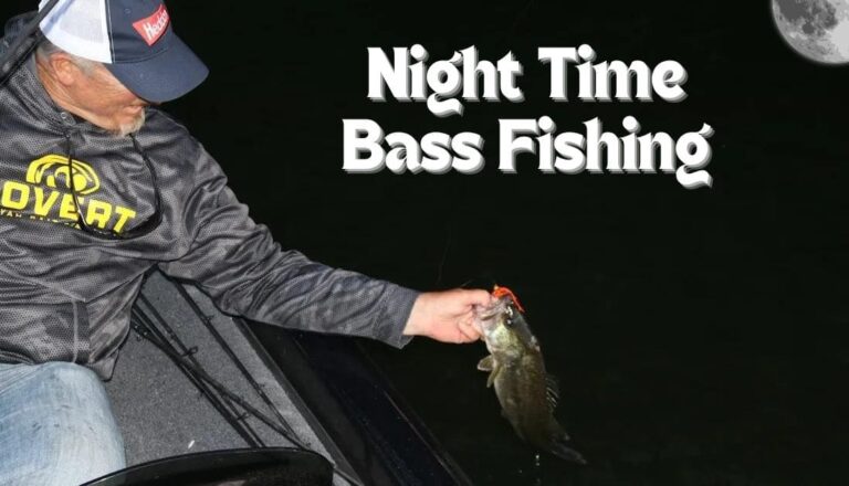 Night Time Bass Fishing