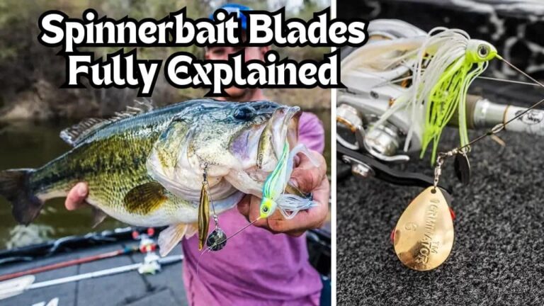 Spinnerbait Blades Explained