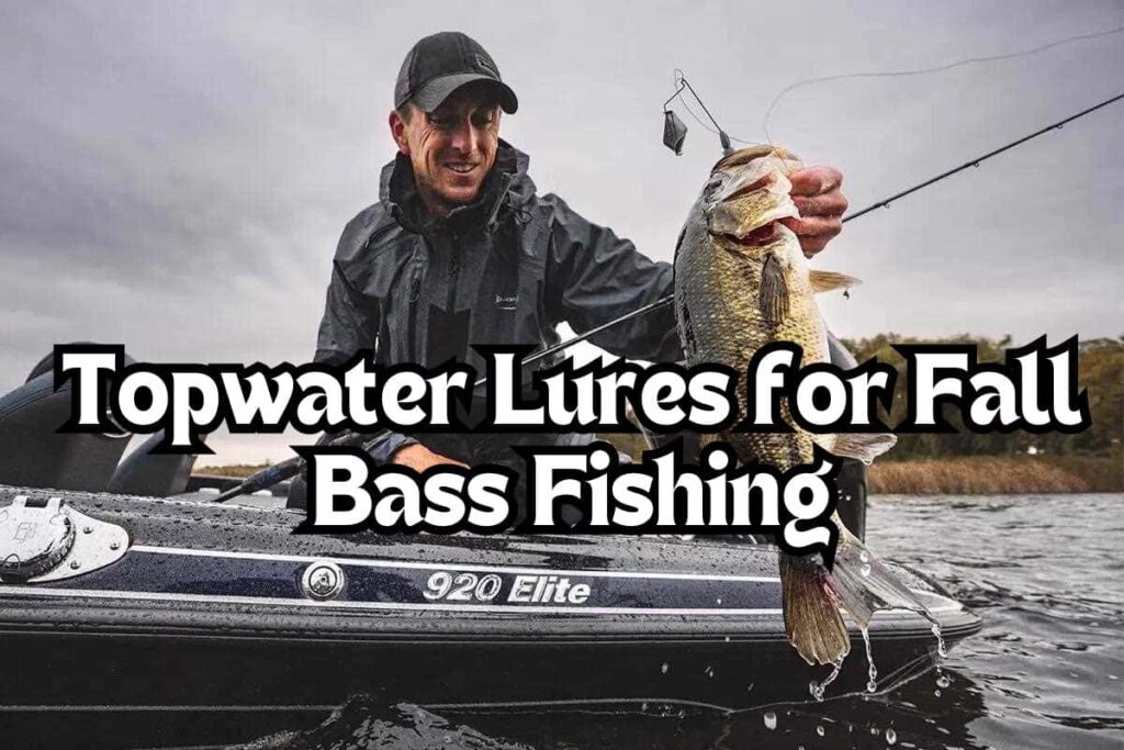 best topwater lures for fall bass fishing