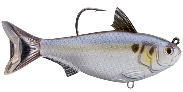 livetarget gizzard shad