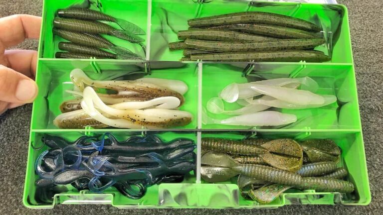 The Only 5 Soft Plastic Baits You Need