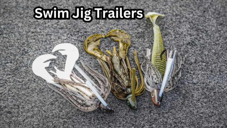 How to Pick the Right Swim Jig Trailer