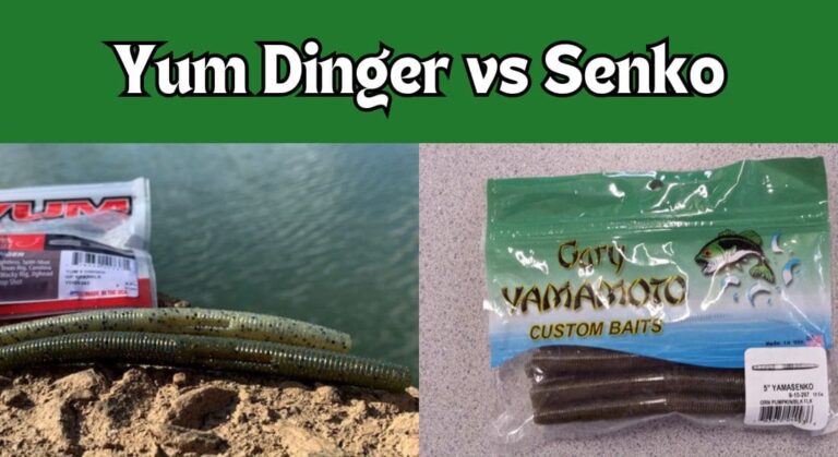 Yum Dinger vs Senko: Which is Better?