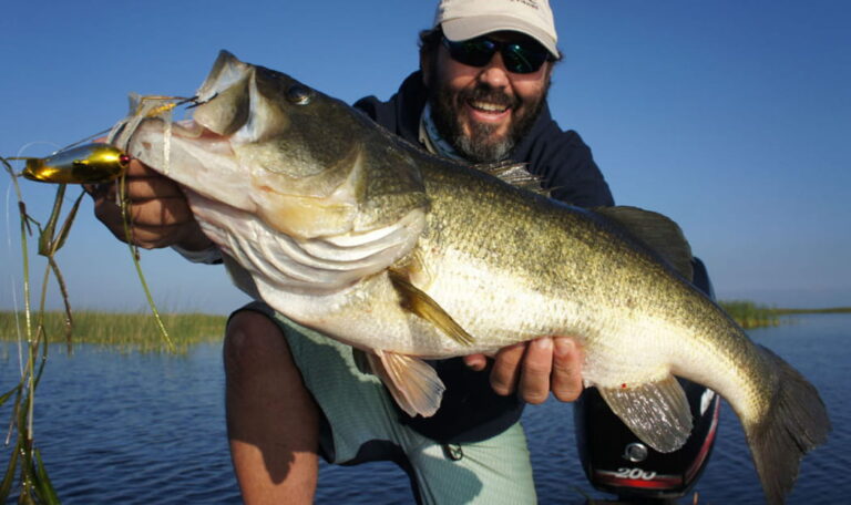 The 4 Lures that Catch the Biggest Bass