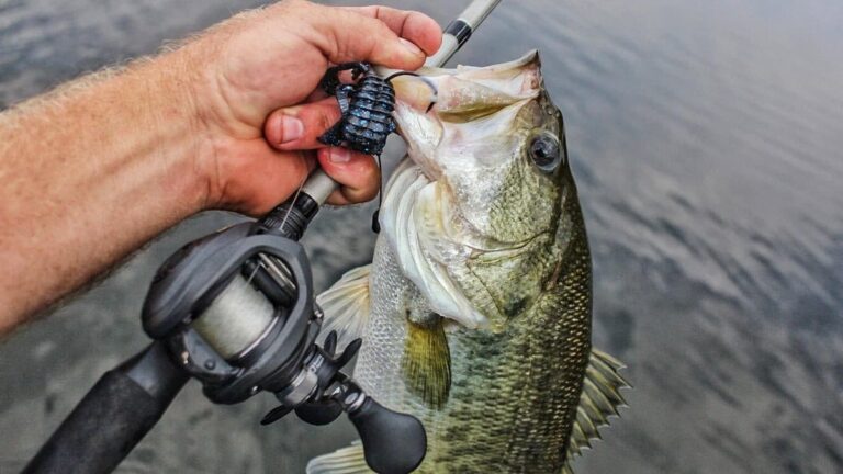 5 Best Baitcaster Combos Under $100