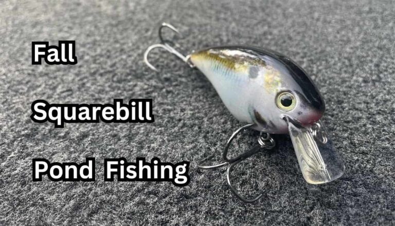 Why Squarebill Crankbaits are So Good for Fall Pond Fishing