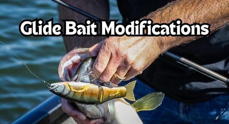 Top 3 Glide Bait Modifications