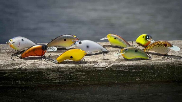 Flat Sided Crankbait Fishing in Cold Water