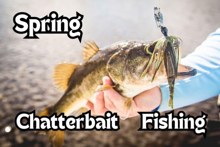 Spring Chatterbait Fishing Breakdown