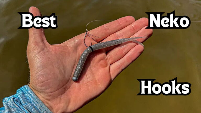 The 3 Best Neko Rig Hooks