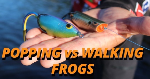 popping vs walking frog in the rain