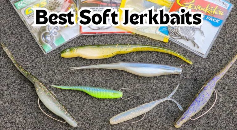 best soft plastic jerkbait