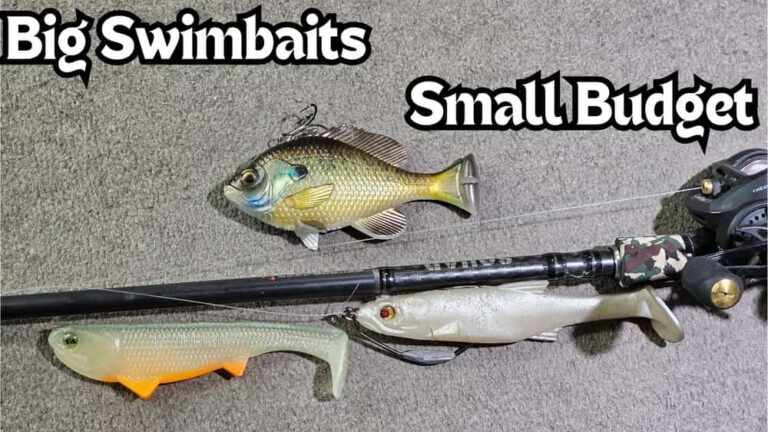 big swimbaits on a Low budget