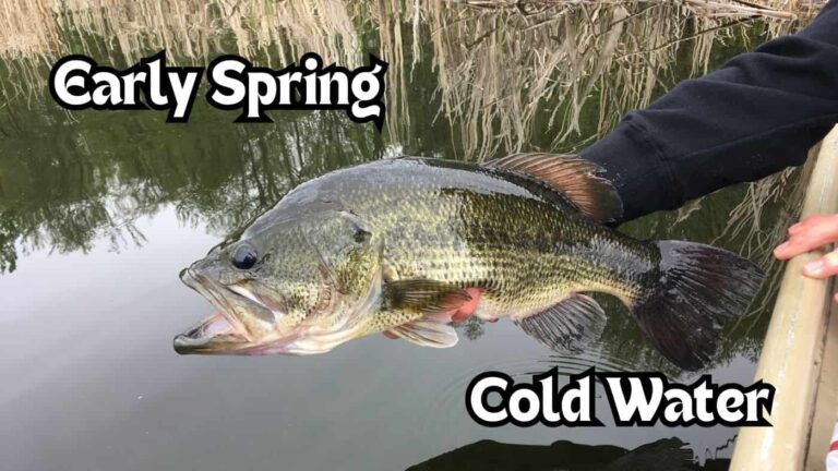 Early Spring Bass Fishing in Cold Water