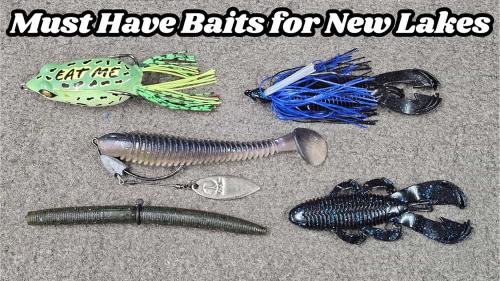 Best Baits for Fishing a New Lake (VIDEO)