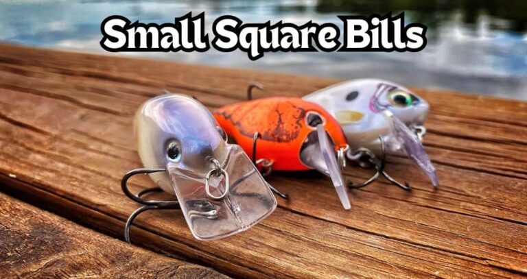 best small square bill crankbaits