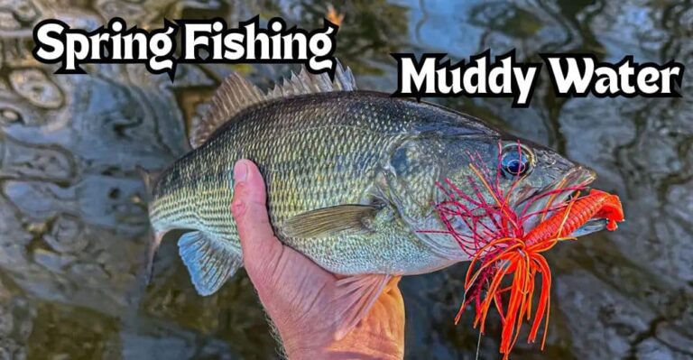 spring muddy water bass fishing