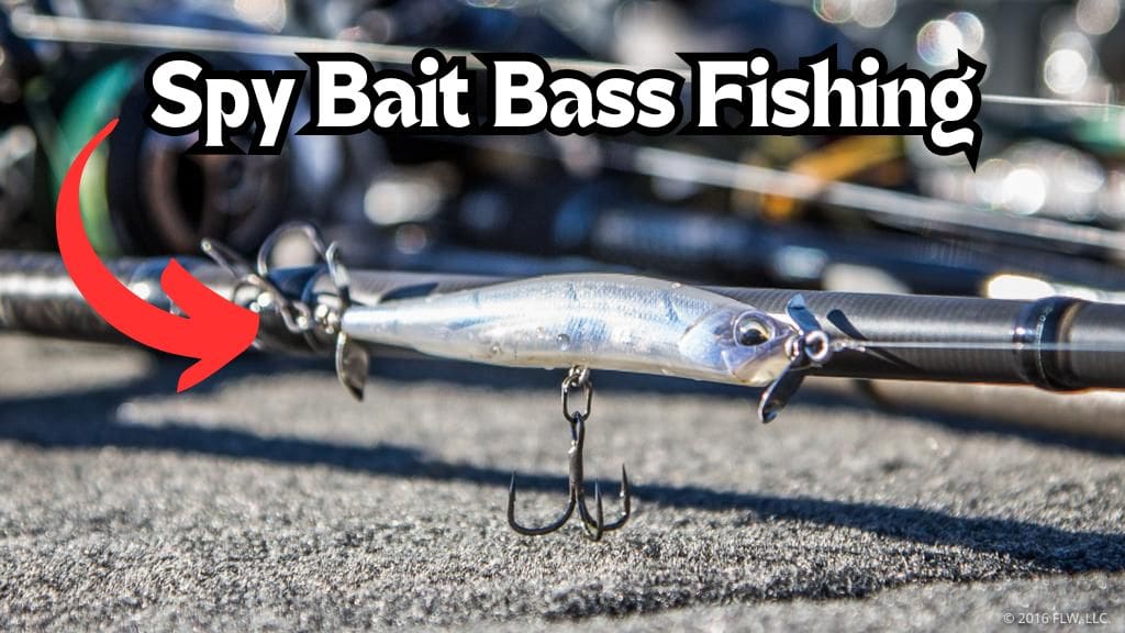 spy bait bass fishing