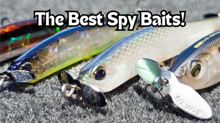 best spy baits