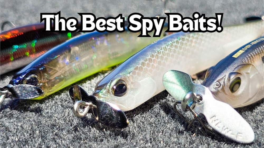 the best spy baits for bass