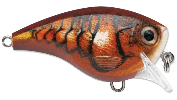 rapala xtreme bx brat