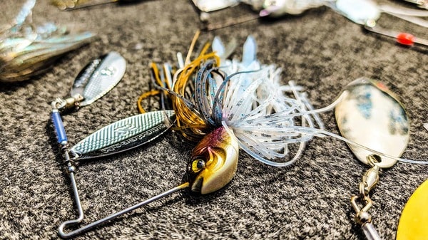 spinnerbait