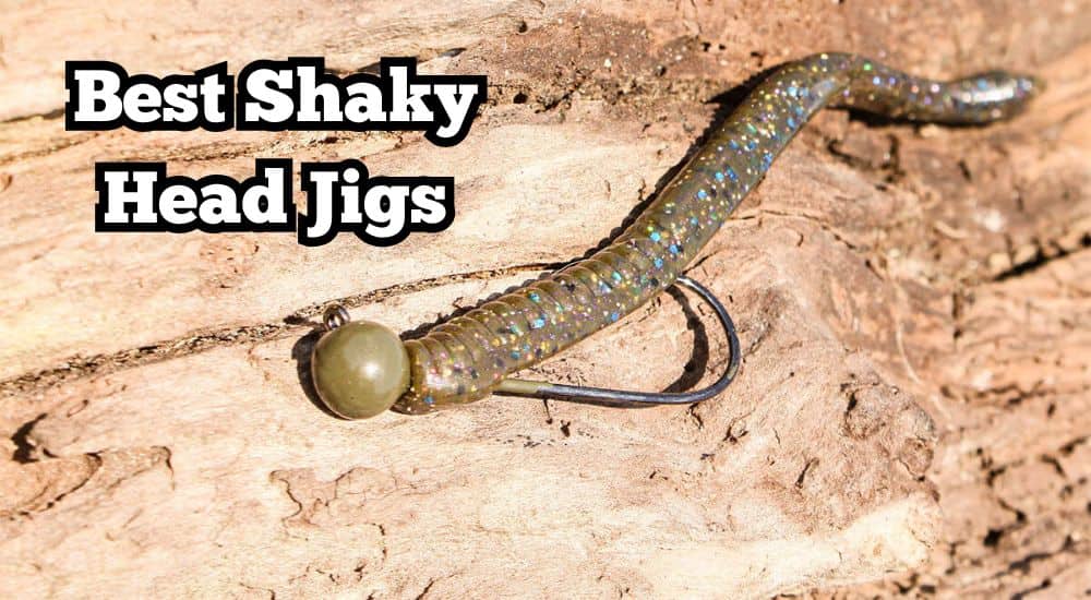 best shaky head jigs