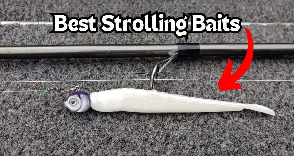 best strolling baits