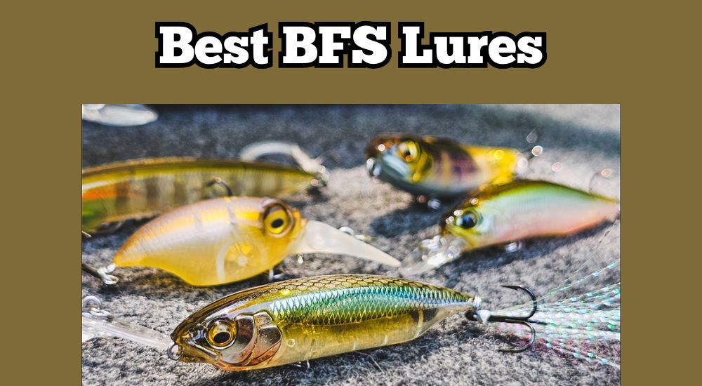 best bfs lures