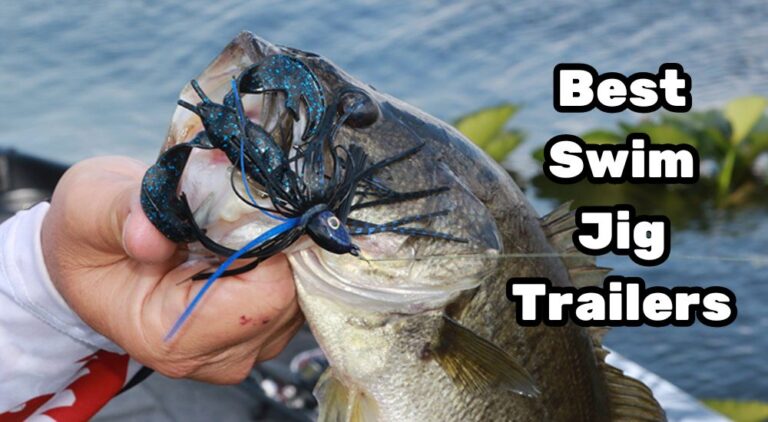 best swim jig trailers