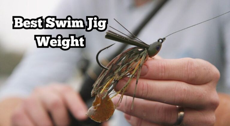 best swim jig weight