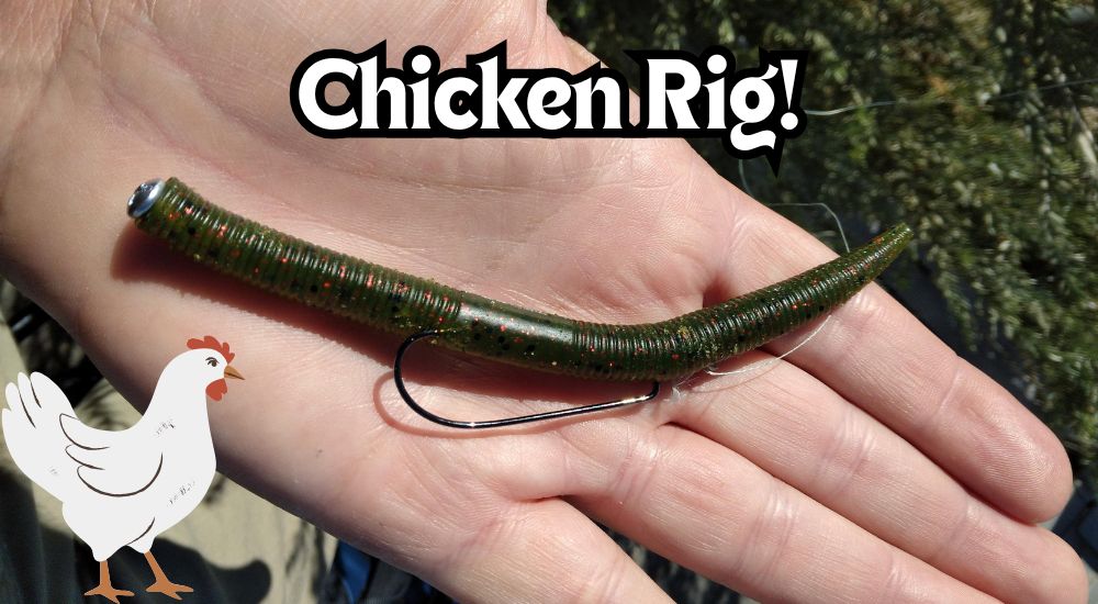 chicken rig bass fishing