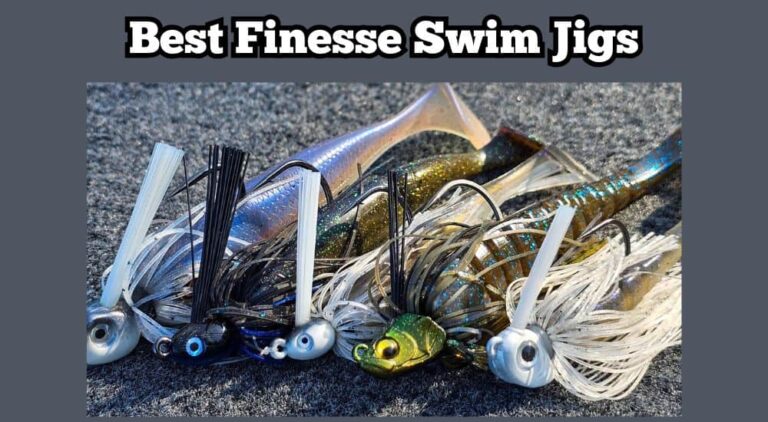 3 Best Finesse Swim Jigs