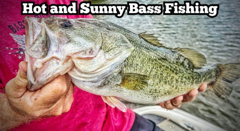 Bass Fishing on Hot Sunny Days
