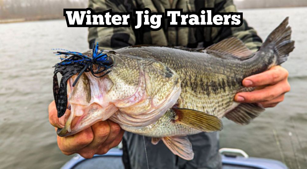Best Jig Trailer for Winter Bass Fishing