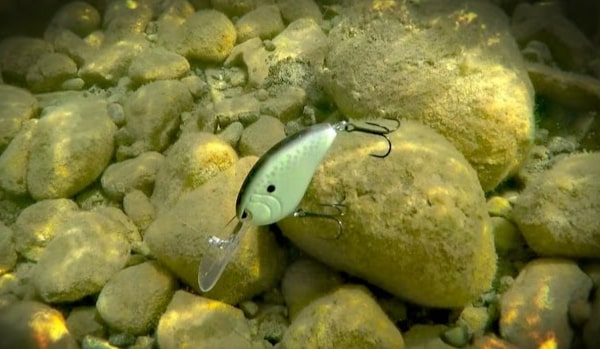 deep diving crankbait