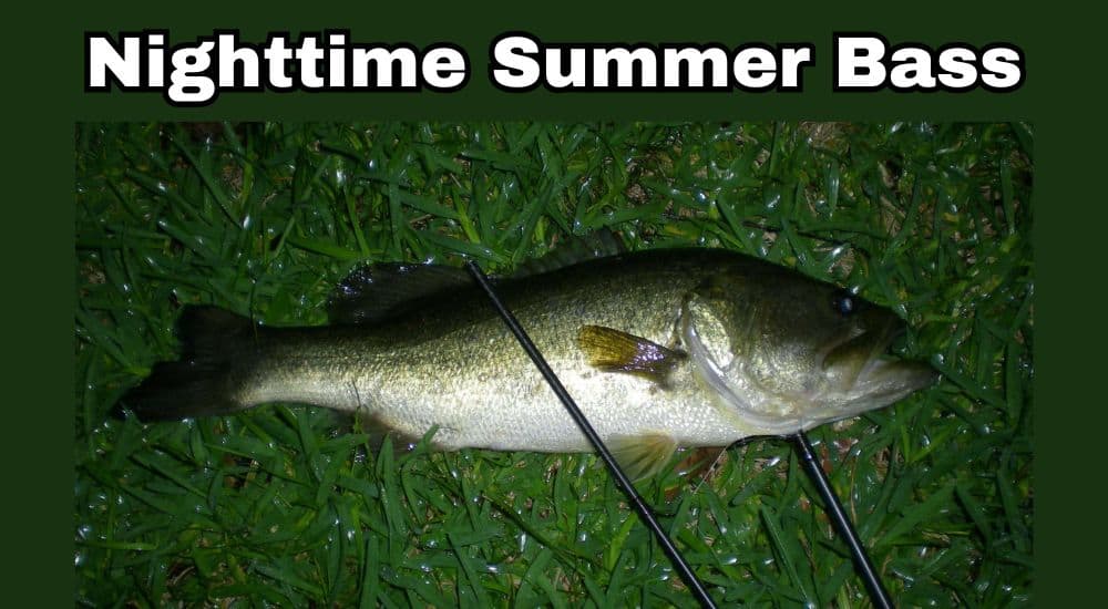 nighttime summer bass fishing